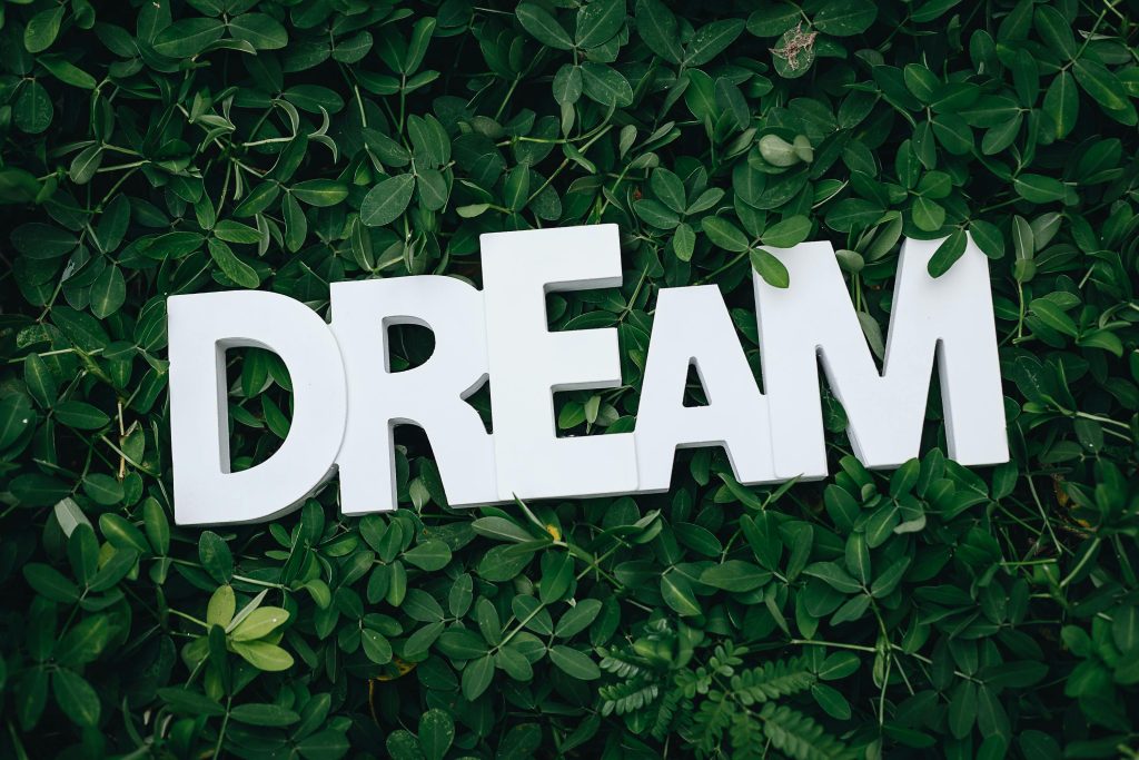 dromen dream whisperer